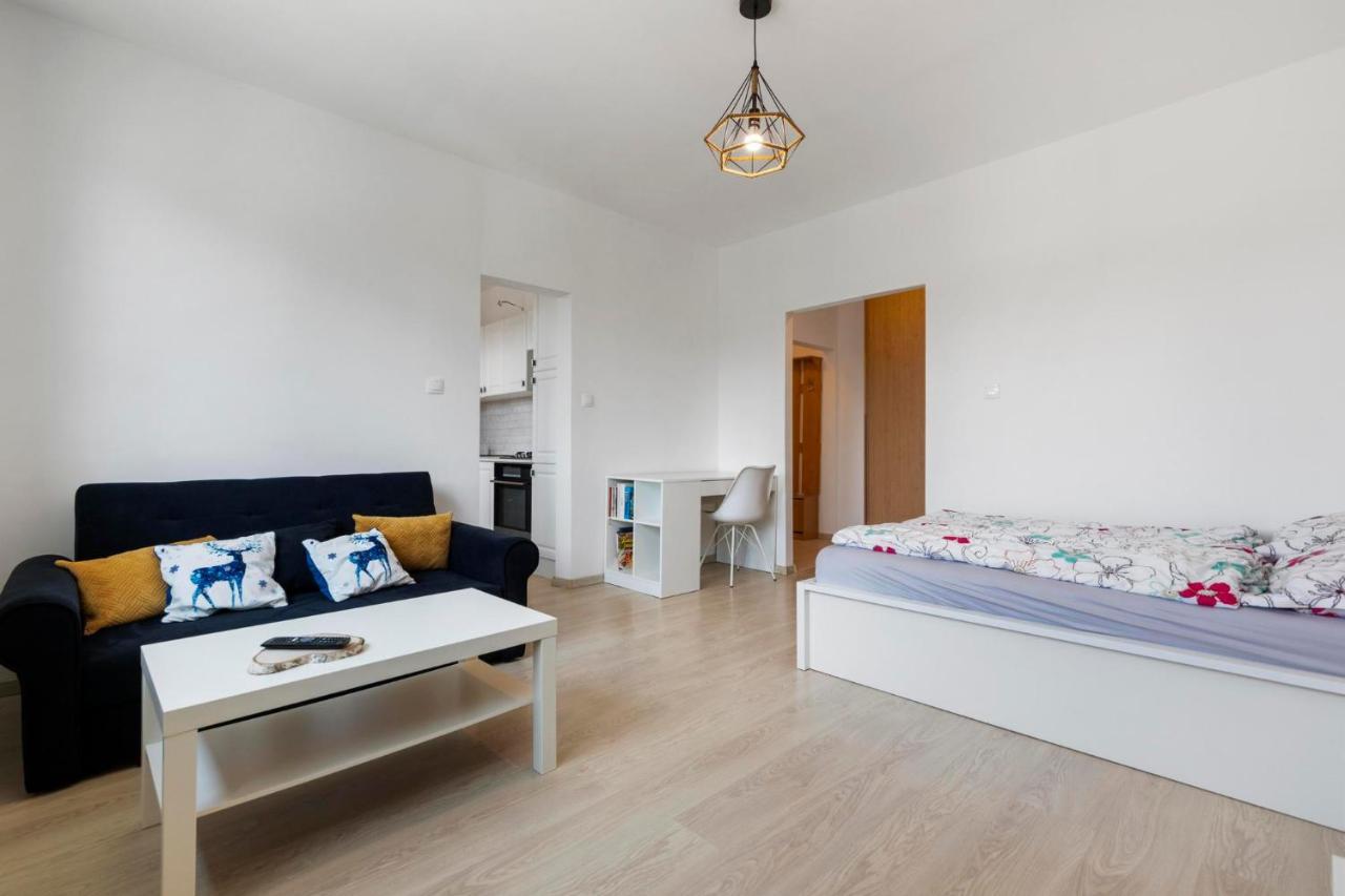 Apartment 20 Minutes From City Center W Netflix, Coffee Or Tea & Parking Pressburg Exterior foto